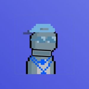 Meet your Posher, Brady